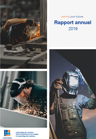 Rapport annuel IBS 2019